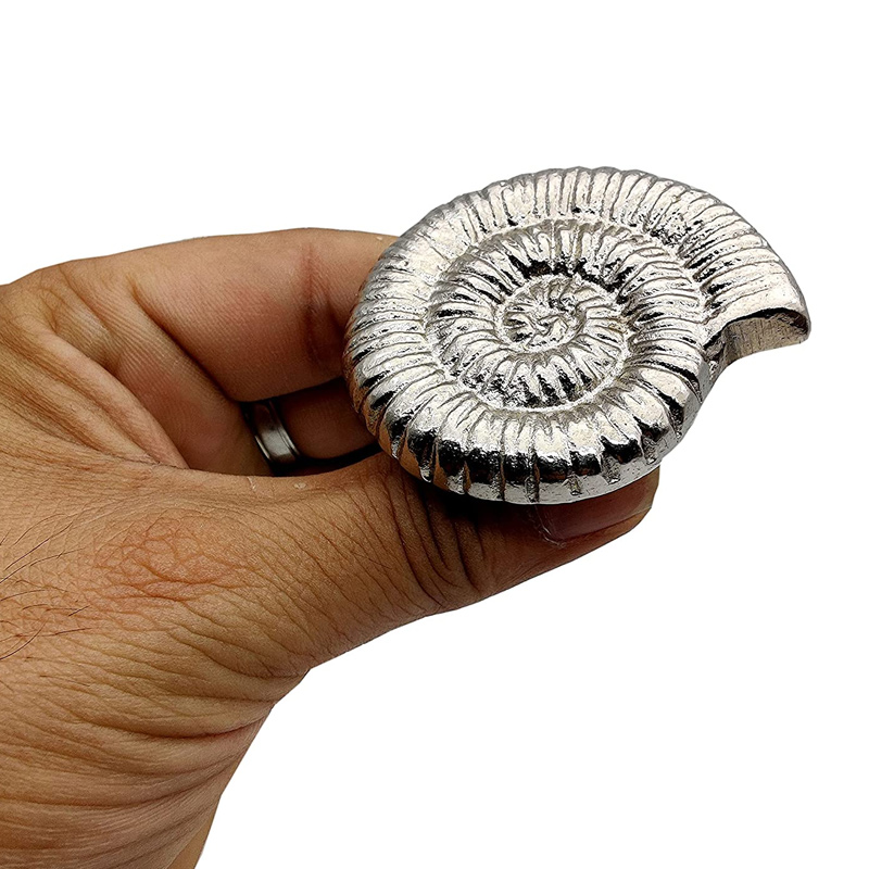 Handcrafted Ammonites Fossil Cast Iron Decorative pulls Wardrobes & Kitchen Cupboards Decor